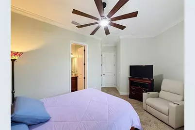 273 Silver Maple Road, Groveland, FL 34736 - Photo 29