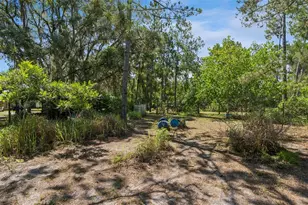 5500 Ventura Acres Rd, Groveland, FL 34736 - Photo 31