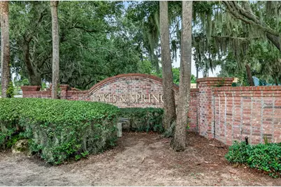 7314 Spring Mountain Lane, Yalaha, FL 34797 - Photo 63