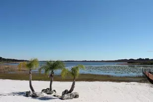 5011 Belted Kingfisher Dr, Oxford, FL 34484 - Photo 65
