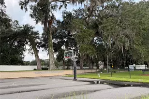 5011 Belted Kingfisher Dr, Oxford, FL 34484 - Photo 51