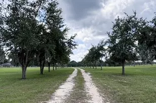 12601 Double Run Rd, Astatula, FL 34705 - Photo 35