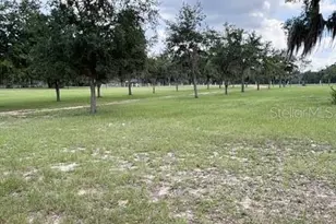 12601 Double Run Rd, Astatula, FL 34705 - Photo 7