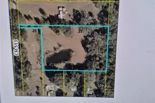 Cr 513, Wildwood, FL 34785 - Photo 1