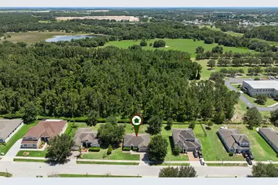 5546 Windsong Oak Drive, Leesburg, FL 34748 - Photo 35