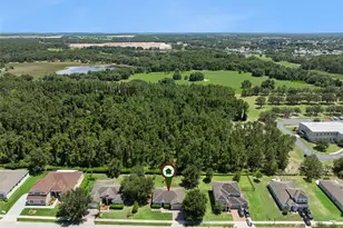 5546 Windsong Oak Dr, Leesburg, FL 34748 - Photo 35