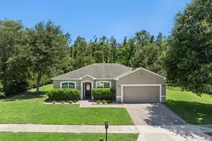 5546 Windsong Oak Dr, Leesburg, FL 34748 - Photo 33