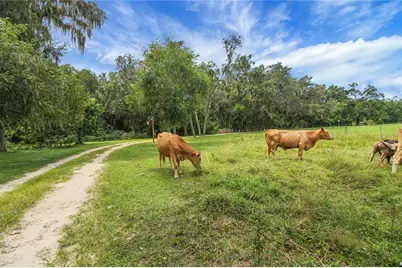 10757 County Road 223, Oxford, FL 34484 - Photo 65