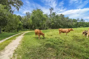 10757 Co Rd 223, Oxford, FL 34484 - Photo 7
