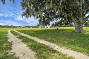 10757 Co Rd 223, Oxford, FL 34484 - Photo 75
