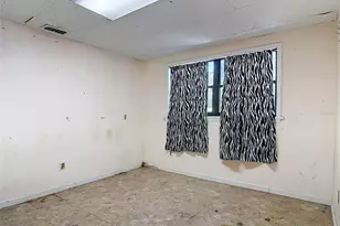 24930 Avenue C, Paisley, FL 32767 - Photo 31
