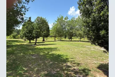 1238 S US 301, Sumterville, FL 33585 - Photo 15