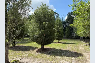1238 S US 301, Sumterville, FL 33585 - Photo 11