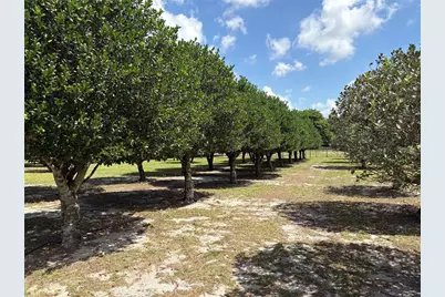 1238 S US 301, Sumterville, FL 33585 - Photo 13
