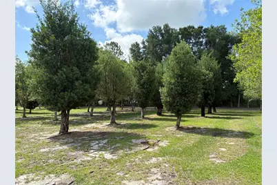1238 S US 301, Sumterville, FL 33585 - Photo 7