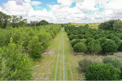 1238 S US 301, Sumterville, FL 33585 - Photo 31