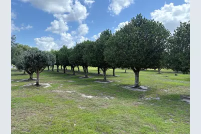 1238 S US 301, Sumterville, FL 33585 - Photo 5