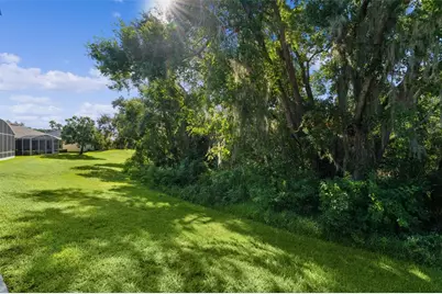 4358 Antietam Creek Trail, Leesburg, FL 34748 - Photo 9