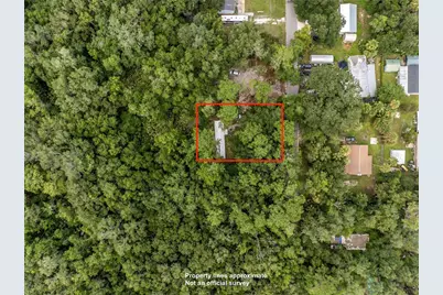 3080 Cr 417, Lake Panasoffkee, FL 33538 - Photo 7