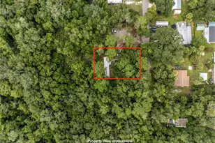 3080 Cr 417, Lake Panasoffkee, FL 33538 - Photo 7