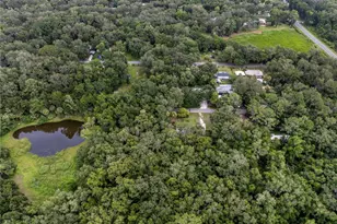 3080 Cr 417, Lake Panasoffkee, FL 33538 - Photo 5