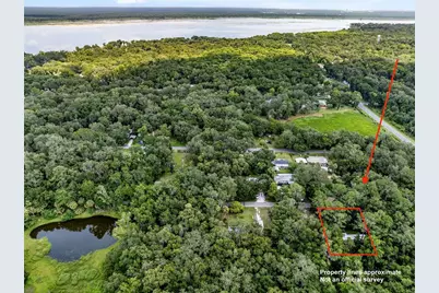 3080 Cr 417, Lake Panasoffkee, FL 33538 - Photo 5