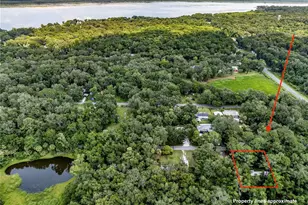 3080 Cr 417, Lake Panasoffkee, FL 33538 - Photo 5