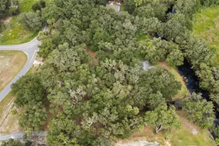7938 Jacksons River Rd, Leesburg, FL 34788 - Photo 37
