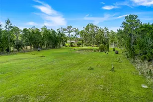 19327 Ralston St, Orlando, FL 32833 - Photo 49