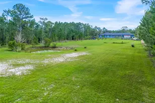 19327 Ralston St, Orlando, FL 32833 - Photo 51