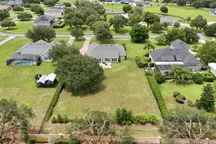 4526 Claire Rose Ct, Mount Dora, FL 32757 - Photo 73