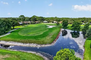 8059 Laurel Ridge Dr, Mount Dora, FL 32757 - Photo 41
