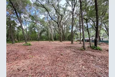 E Hwy 25, Ocklawaha, FL 32179 - Photo 7