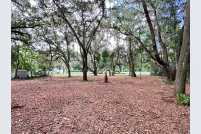 E Hwy 25, Ocklawaha, FL 32179 - Photo 5
