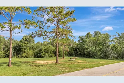 4541 County Road 561, Clermont, FL 34714 - Photo 3