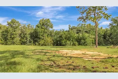 4541 County Road 561, Clermont, FL 34714 - Photo 5