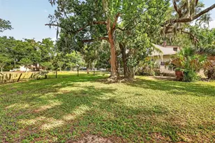316 N Highland St, Mount Dora, FL 32757 - Photo 9