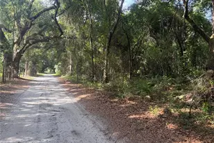 0000 Cr 738, Webster, FL 33597 - Photo 1