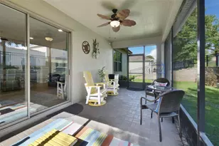 21315 Sorraia Cv, Mount Dora, FL 32757 - Photo 29
