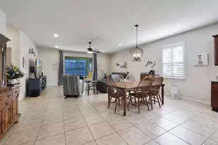21315 Sorraia Cv, Mount Dora, FL 32757 - Photo 15