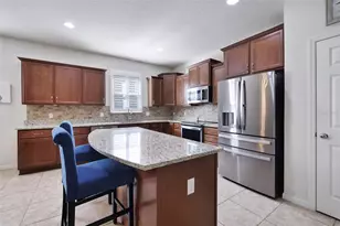 21315 Sorraia Cv, Mount Dora, FL 32757 - Photo 13