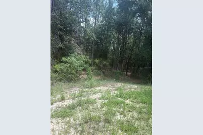 10883 SE 119th Street, Belleview, FL 34420 - Photo 11