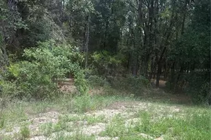 10883 SE 119th St, Belleview, FL 34420 - Photo 11