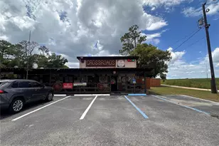 36721 County Road 19A, Eustis, FL 32726 - Photo 1