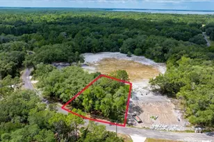 Fisher Ln Ct, Ocklawaha, FL 32179 - Photo 1