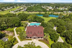 30113 Jutland Ct, Mount Dora, FL 32757 - Photo 65