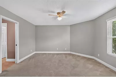 30113 Jutland Court, Mount Dora, FL 32757 - Photo 39