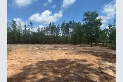 6123 Oil Well Road, Clermont, FL 34714 - Photo 3