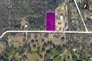 6123 Oil Well Rd, Clermont, FL 34714 - Photo 1