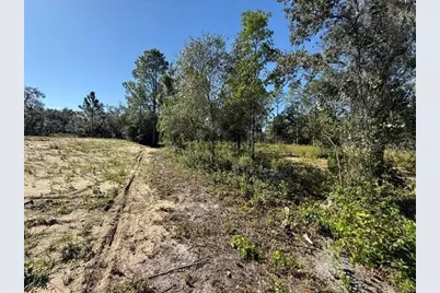 6123 Oil Well Road, Clermont, FL 34714 - Photo 5